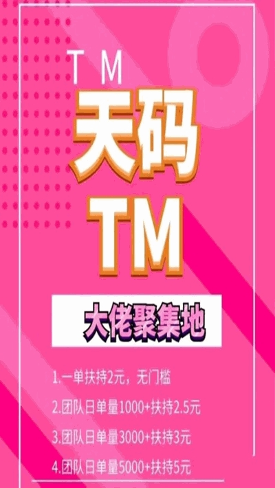 天码辅助注册版