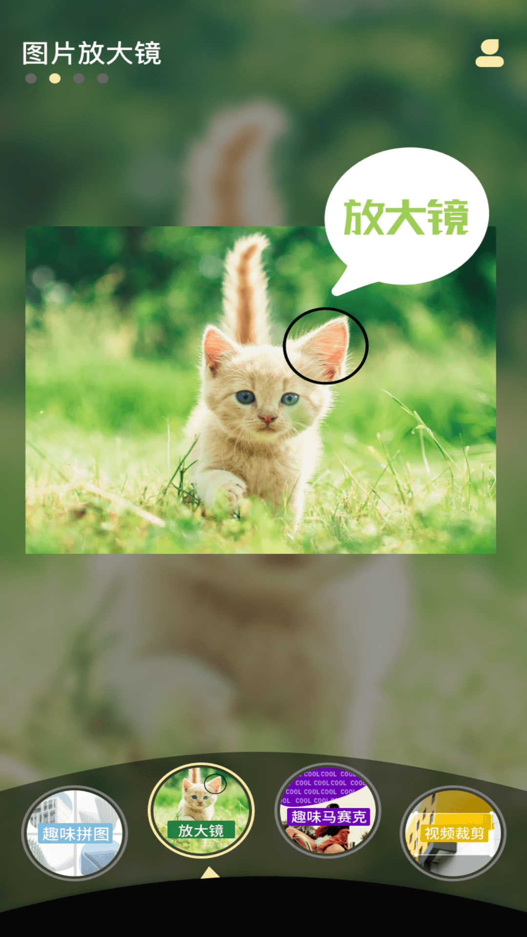 软软视频