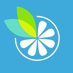 菠菜网手机版