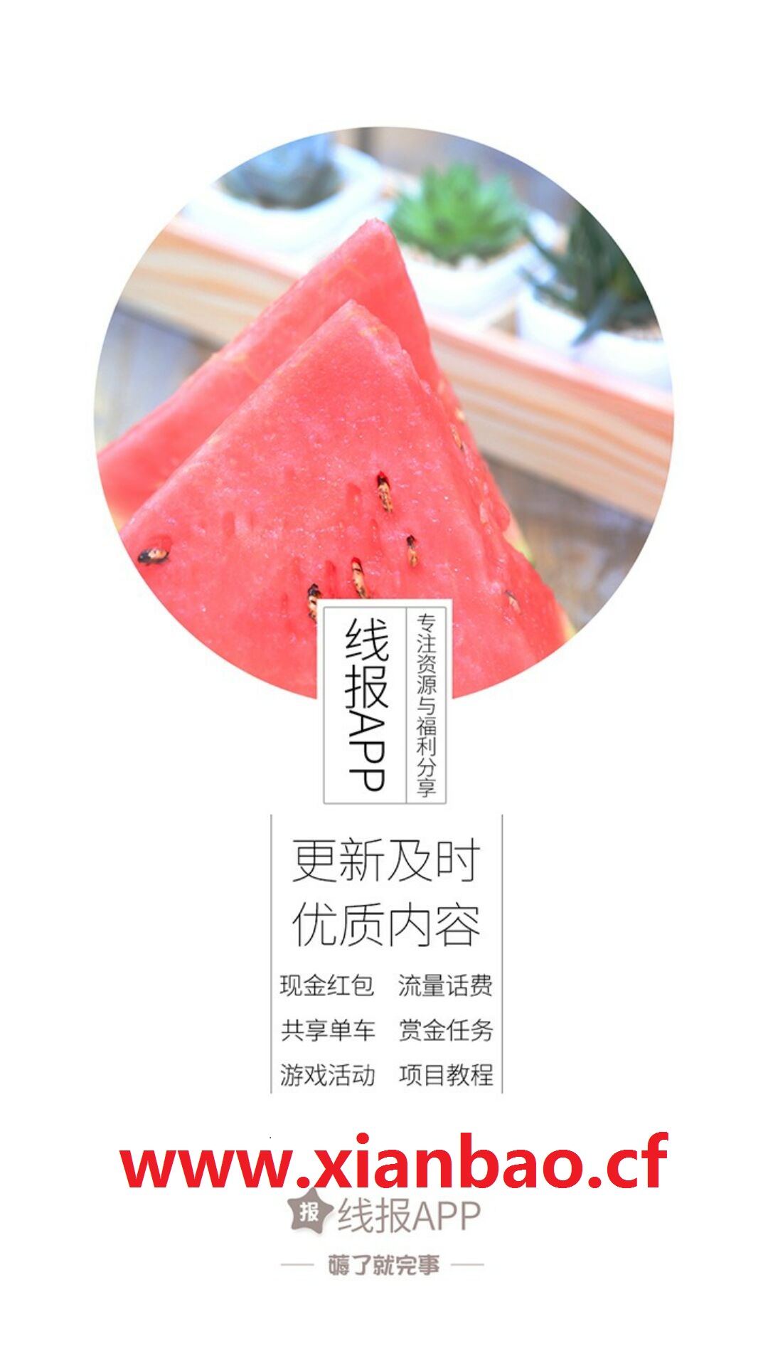 乌鸦线报正式版