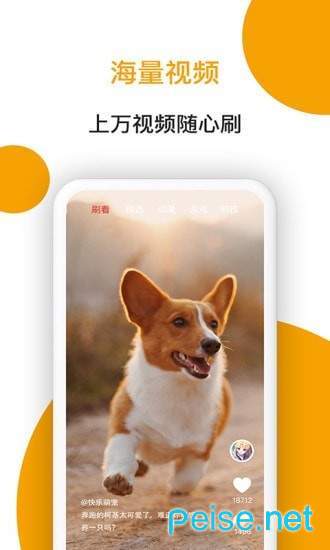 小狗看看官方版