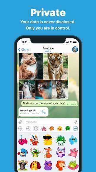 Telegreat（中文版下载）