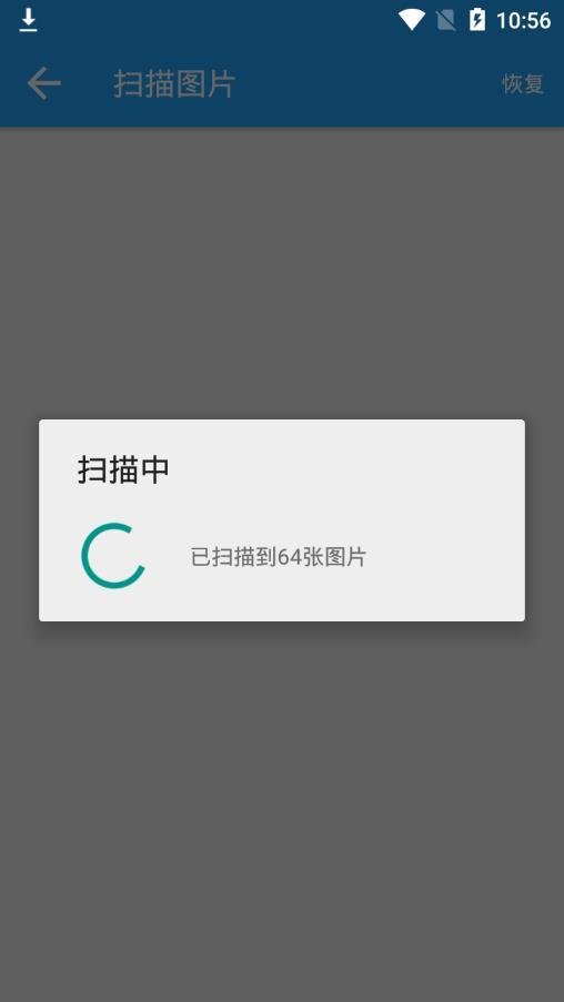 大白恢复专家
