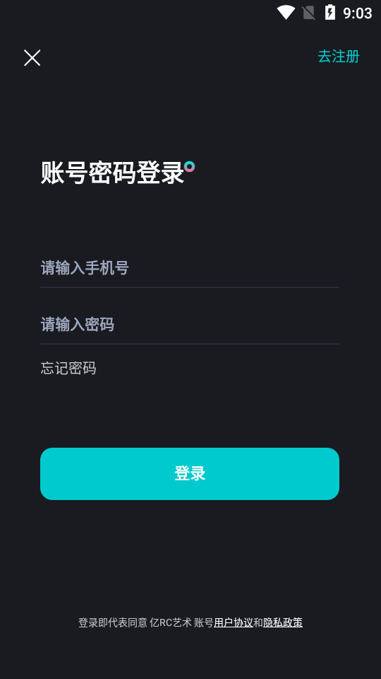 亿RC艺术数字藏品至尊版  vl