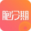 胞分期贷款app极速版