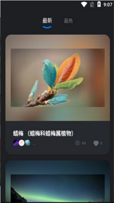元视觉藏品app