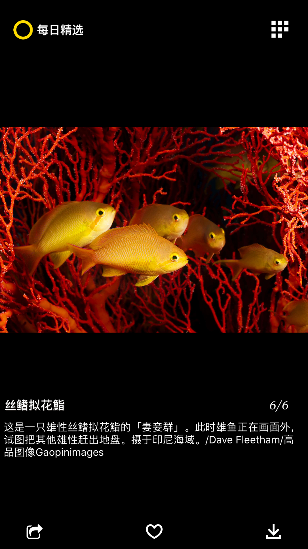 国家地理杂志中文版
