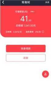 常青树网贷