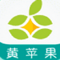 黄苹果贷款