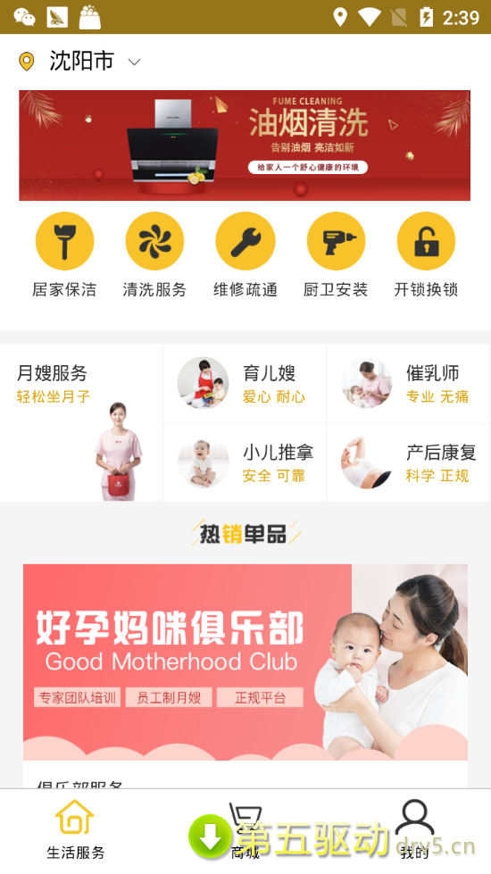 小黄牛