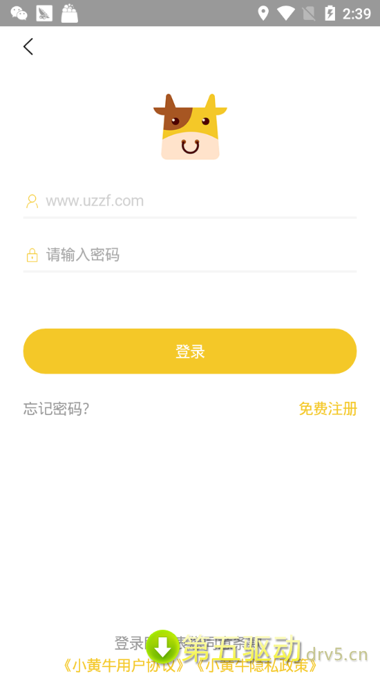 小黄牛