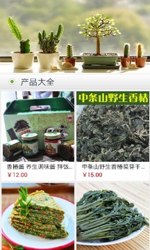 香椿网APP