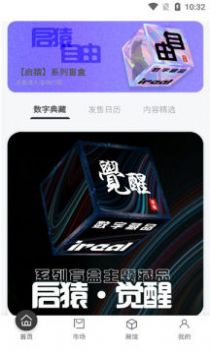 ireal数字藏品app