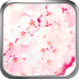 /ruanjian/jxbc/8369.html