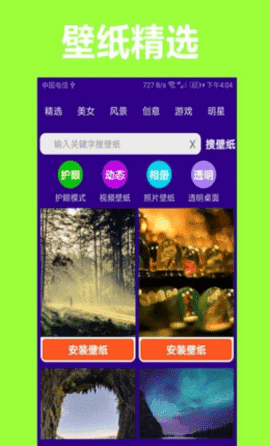 护眼狗视频壁纸