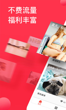 西瓜视频官方版