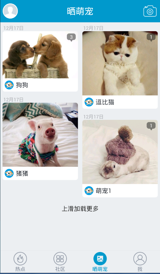 顺德萌宠圈
