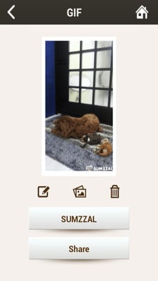GIF Maker - 动画GIF相机
