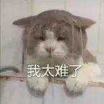 抖音我太南了表情包