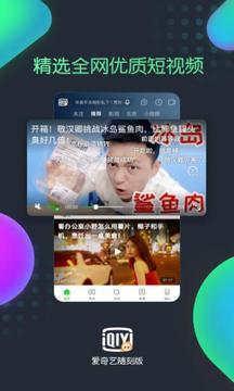 爱奇艺随刻版