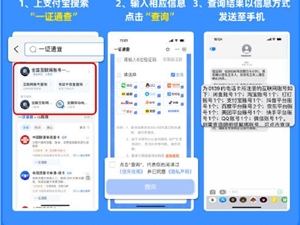 支付宝宣布上线“一证通查”服务