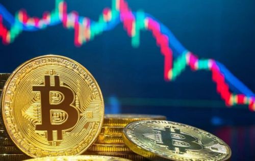 中本聪钱包国内最新版下载