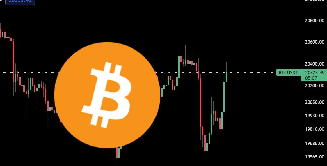 美股连3日收跌、比特币急挫再回2万美元！BTC登8月表现最差资产1
