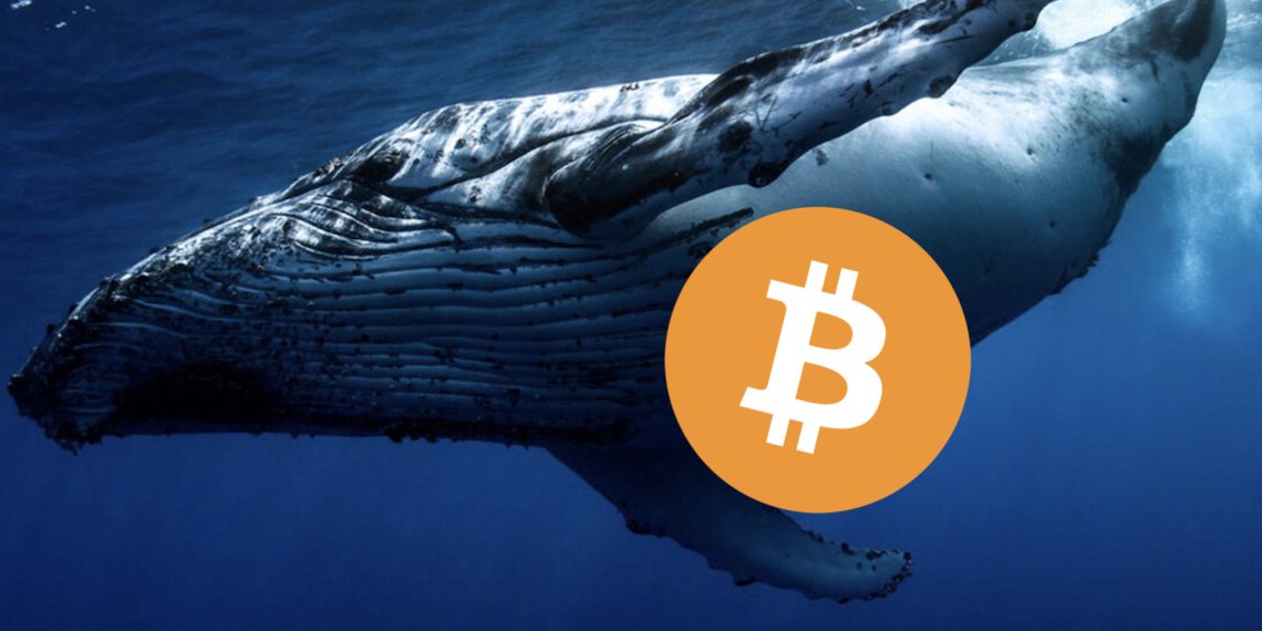 砸盘？沉睡九年巨鲸1周内转出1.5万枚比特币部分流向币安、Kraken1