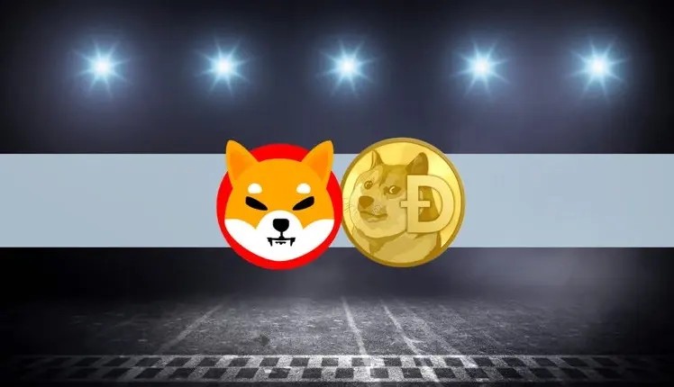 shib是不是割韭菜？马斯克是支持的狗狗币还是shib？