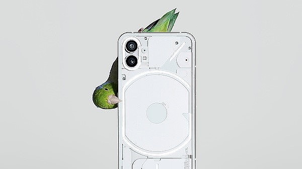 Polygon生态2022:在主流世界里撕开一束光7