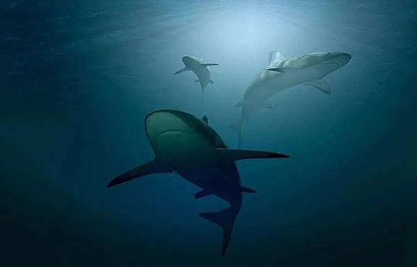 盘点应用链生态Top6谁能捕获下一轮的爆款？1