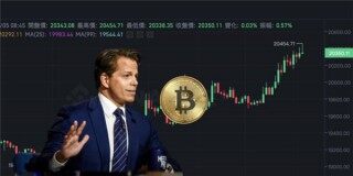 炒币最看好哪个 – 现在哪种炒币比较好