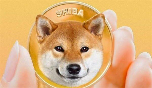 柴犬币在哪个交易平台可以买?国内最正规靠谱交易所-第1张图片-欧意下载 柴犬币在哪个交易平台可以买?国内最正规靠谱交易所-第1张图片-欧意下载