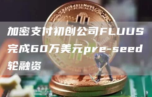 加密支付初创公司FLUUS完成60万美元pre-seed轮融资1