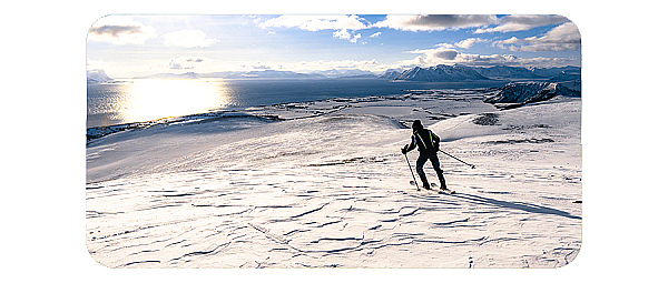 什么是全链（一）1