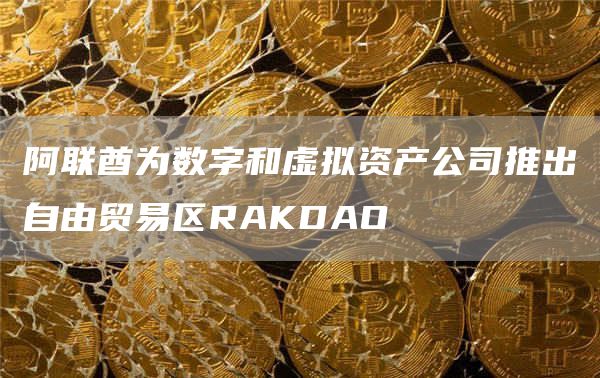 阿联酋为数字和虚拟资产公司推出自由贸易区RAKDAO1