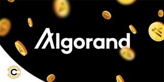 一个ALGO币价值多少人民币