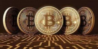 BF币今天的价格是多少