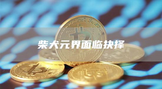 柴犬元界面临抉择1