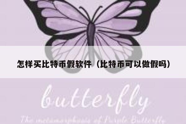 怎样买比特币假软件（比特币可以做假吗）-第1张图片-欧意下载