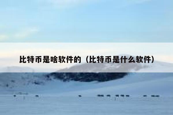 比特币是啥软件的（比特币是什么软件）-第1张图片-欧意下载