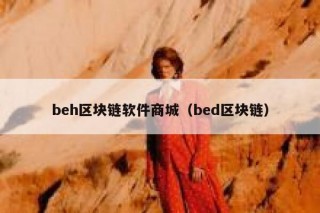 bbh区块链软件商城（bbd区块链）