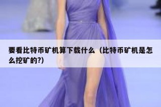 要看比特币矿机算下载什么（比特币矿机是怎么挖矿的？）