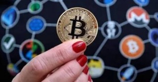 VV币今天的价格是多少