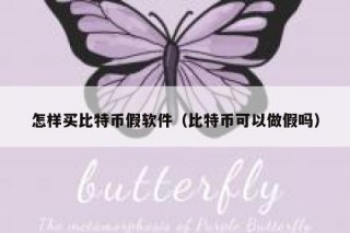 怎样买比特币假软件（比特币可以做假吗）