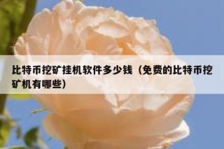 比特币挖矿挂机软件多少钱（免费的比特币挖矿机有哪些）