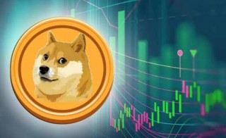 dogb币最新资讯(DOGB币)