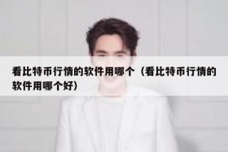 看比特币行情的软件用哪个（看比特币行情的软件用哪个好）