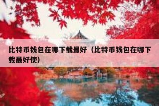比特币钱包在哪下载最好（比特币钱包在哪下载最好使）