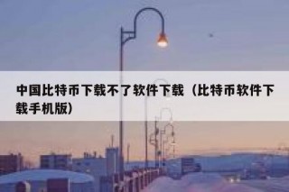 中国比特币下载不了软件下载（比特币软件下载手机版）